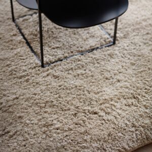 Indoor Rugs