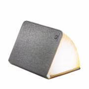 Smart Book Light