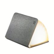 Smart Book Light