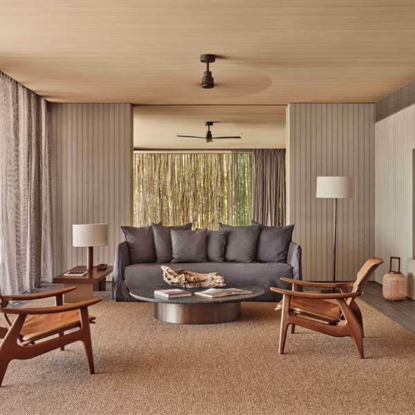 Linear Sofas