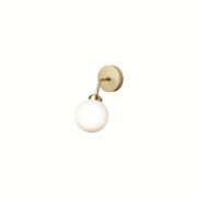 Apiales Wall Lamp