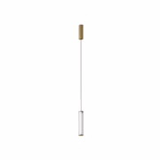 Ison Pendant