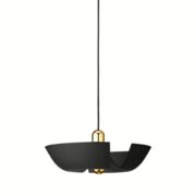 Cycnus Pendant