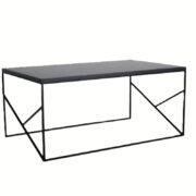 Fancy Coffee Table