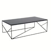 Fancy Coffee Table
