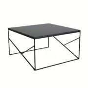 Fancy Coffee Table