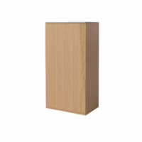 Silent Wall Cabinet