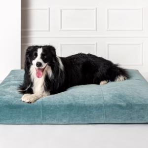 Shelby Pet Sofa