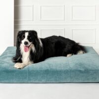 Shelby Pet Sofa