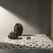 Berber Low Pile Rugs