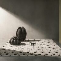 Berber Low Pile Rugs