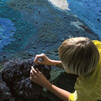 Tactile Rugs