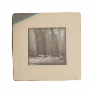 Sepia Craquelè Painting