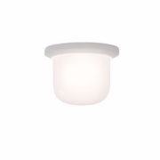Leucos Glassdome Wall/Ceiling Light